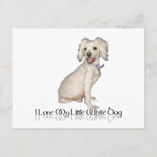 Carte Postale J'adore mon petit chien blanc - Mélange Caniche /