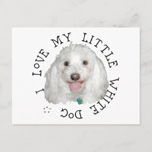 Carte Postale J'adore mon petit chien blanc (sauvetage)