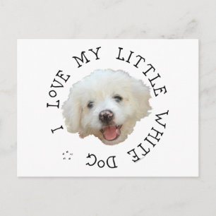 Carte Postale J'adore mon petit chien de sauvetage blanc