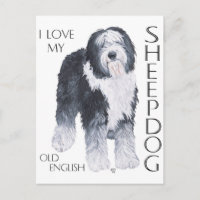J'adore mon vieux chien de berger anglais