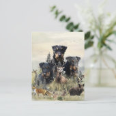Carte Postale Jagdterriers c. Renbrad Kennel (Debout devant)