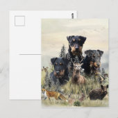 Carte Postale Jagdterriers c. Renbrad Kennel (Devant / Derrière)