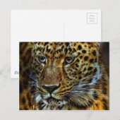 Carte Postale Jaguar (Devant / Derrière)