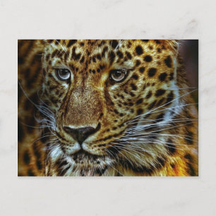 Carte Postale Jaguar