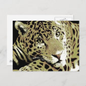 Carte Postale Jaguar (Devant / Derrière)