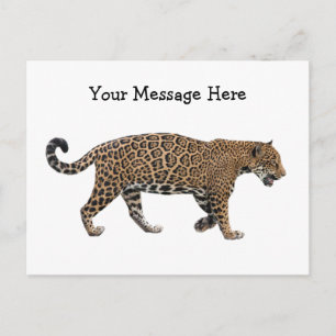 Carte Postale Jaguar