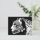 Carte Postale Jaguar (Debout devant)