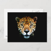 Carte Postale Jaguar (Devant / Derrière)