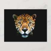 Carte Postale Jaguar (Devant)