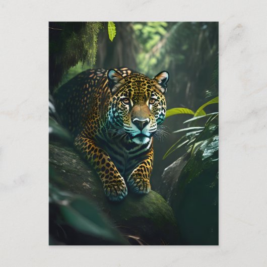 Carte Postale Jaguar dans la jungle (Devant)