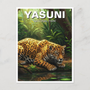 Carte Postale Jaguar dans le Parc national de Yasuni Equateur