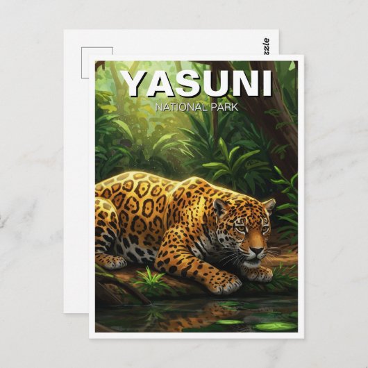 Carte Postale Jaguar dans le Parc national de Yasuni Equateur (Devant / Derrière)