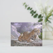 Carte Postale Jaguar et le temple maya (Debout devant)