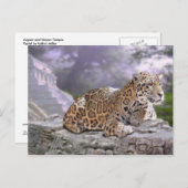 Carte Postale Jaguar et le temple maya (Devant / Derrière)