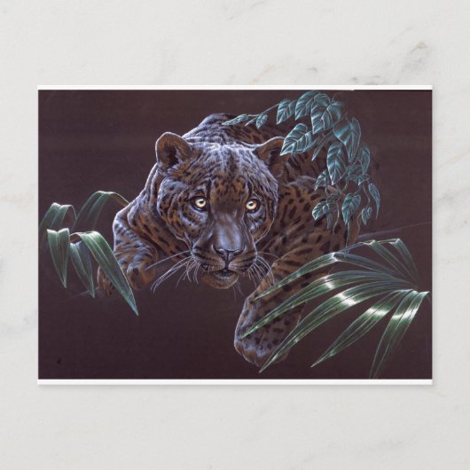 Carte Postale Jaguar noir (Devant)