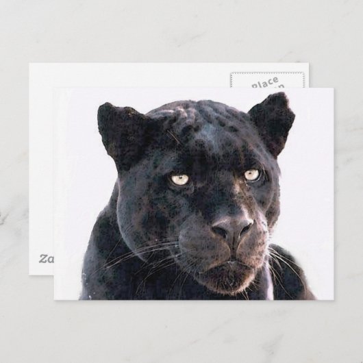 Carte Postale Jaguar noir (Devant / Derrière)