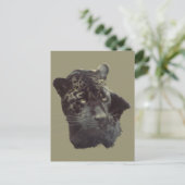 Carte Postale Jaguar noir (Debout devant)