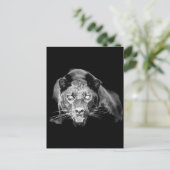 Carte postale Jaguar noir sauvage (Debout devant)