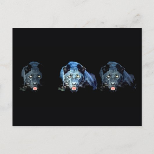 Carte Postale Jaguar - Panthère noire (Devant)