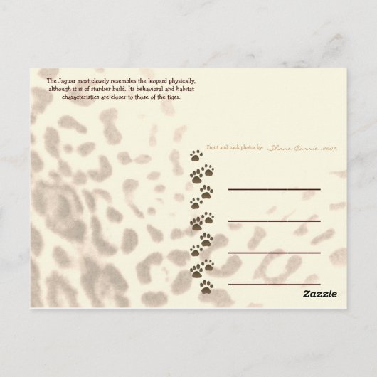 Carte Postale JAGUAR-PAW BACK-IMG_2914 -Shane-Carrie (Dos)