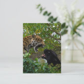 Carte Postale Jaguars In Love (Debout devant)