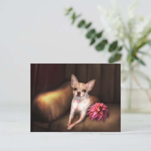Carte Postale Jaguarwoman's "Chihuahua Portrait I" (Debout devant)