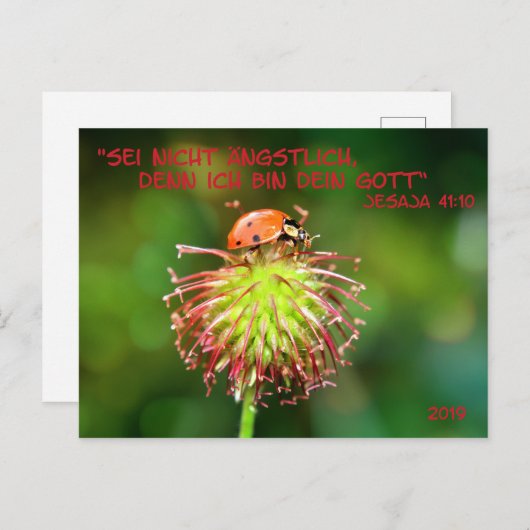 Carte Postale Jahrestext 2019 (Devant / Derrière)