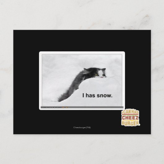 Carte Postale J'ai de la neige. (Devant)