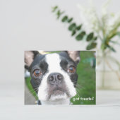 Carte Postale J'ai des friandises (Debout devant)