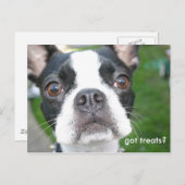 Carte Postale J'ai des friandises (Devant / Derrière)