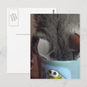 CARTE POSTALE J'AI EU MON CAFÉ ! ! (Devant / Derrière)