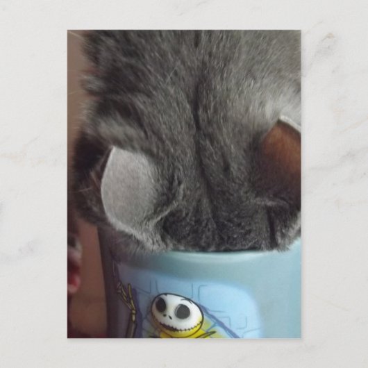 CARTE POSTALE J'AI EU MON CAFÉ ! ! (Devant)