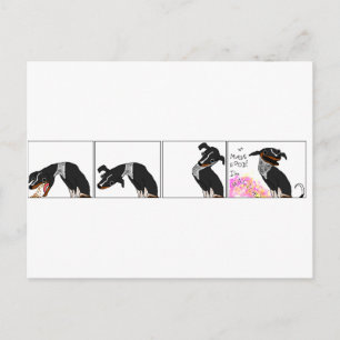 Carte Postale "J'ai fait de la nourriture"