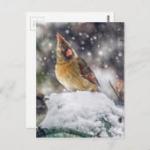 Carte Postale J'ai mon oeil sur toi (Devant / Derrière)