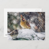 Carte Postale J'ai mon oeil sur toi (Devant / Derrière)