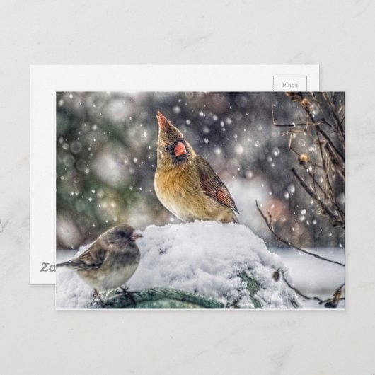 Carte Postale J'ai mon oeil sur toi (Devant / Derrière)