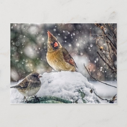 Carte Postale J'ai mon oeil sur toi (Devant)