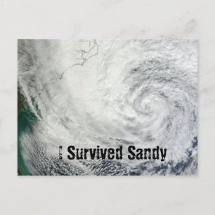 Carte Postale J'ai survécu à Sandy Postcard