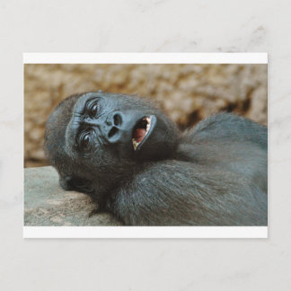 Carte Postale "J'ai tellement sommeil"