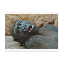 "J'ai tellement sommeil"