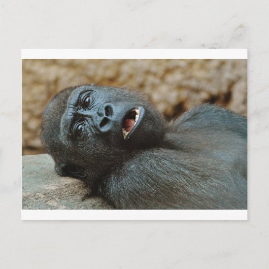 Carte Postale "J'ai tellement sommeil" (Devant)