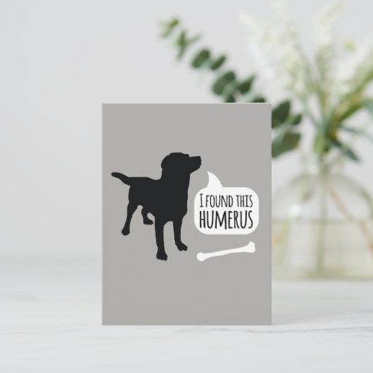 Carte Postale J'ai trouvé cette Humerus Dog avec Bone Funny Post (Debout devant)