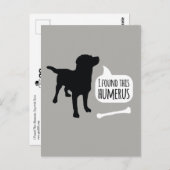 Carte Postale J'ai trouvé cette Humerus Dog avec Bone Funny Post (Devant / Derrière)
