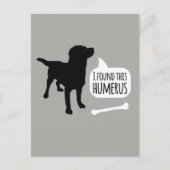 Carte Postale J'ai trouvé cette Humerus Dog avec Bone Funny Post (Devant)