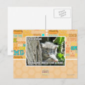 Carte Postale J'ai un fou (Devant / Derrière)