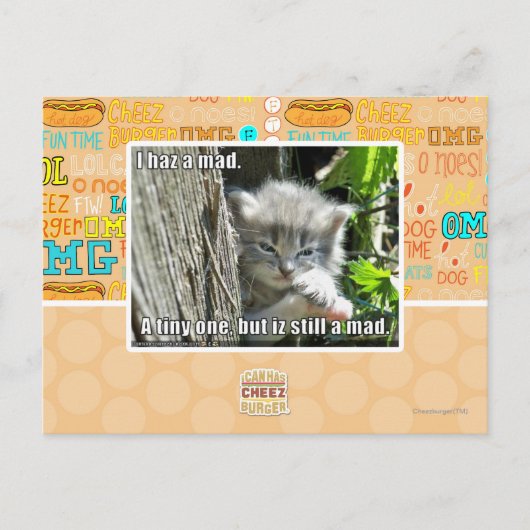 Carte Postale J'ai un fou (Devant)