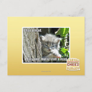 Carte Postale J'ai un fou