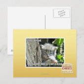 Carte Postale J'ai un fou (Devant / Derrière)