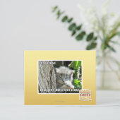 Carte Postale J'ai un fou (Debout devant)