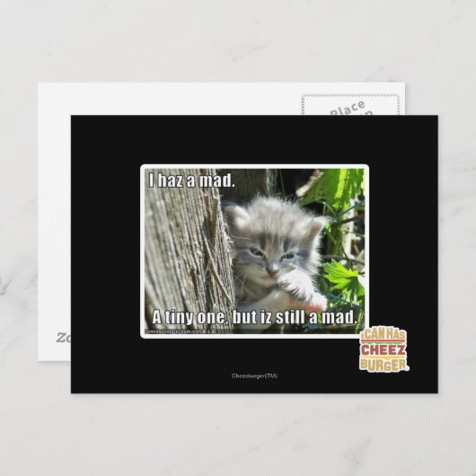 Carte Postale J'ai un fou (Devant / Derrière)